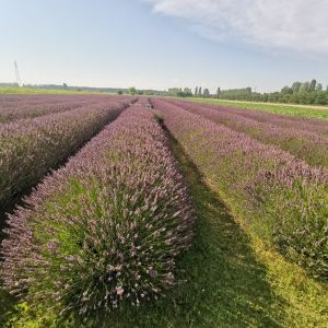 Študijski obisk kot del aktivnosti projekta Central-BIC