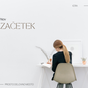 RAZPIS PROSTEGA DELOVNEGA MESTA