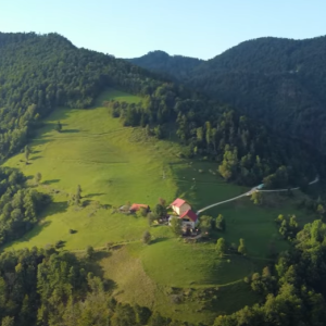 22. KMEČKA TRŽNICA