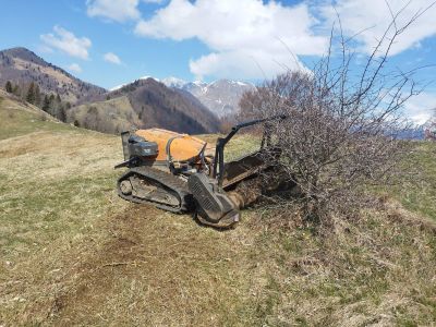 KMETIJSKA RABA OPUŠČENIH IN ZARAŠČENIH ZEMLJIŠČ  - mulcer-jpg.jpg