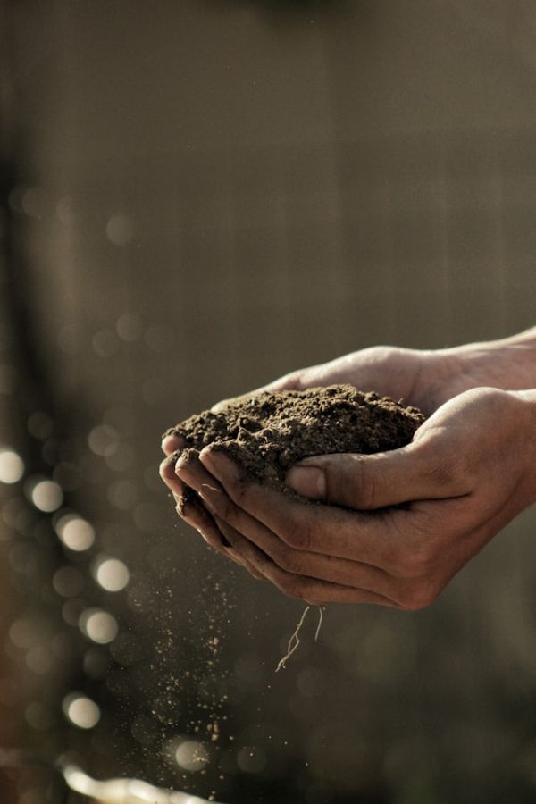 Javni razpis za finančni produkt – AGRO DOPOLNILNE